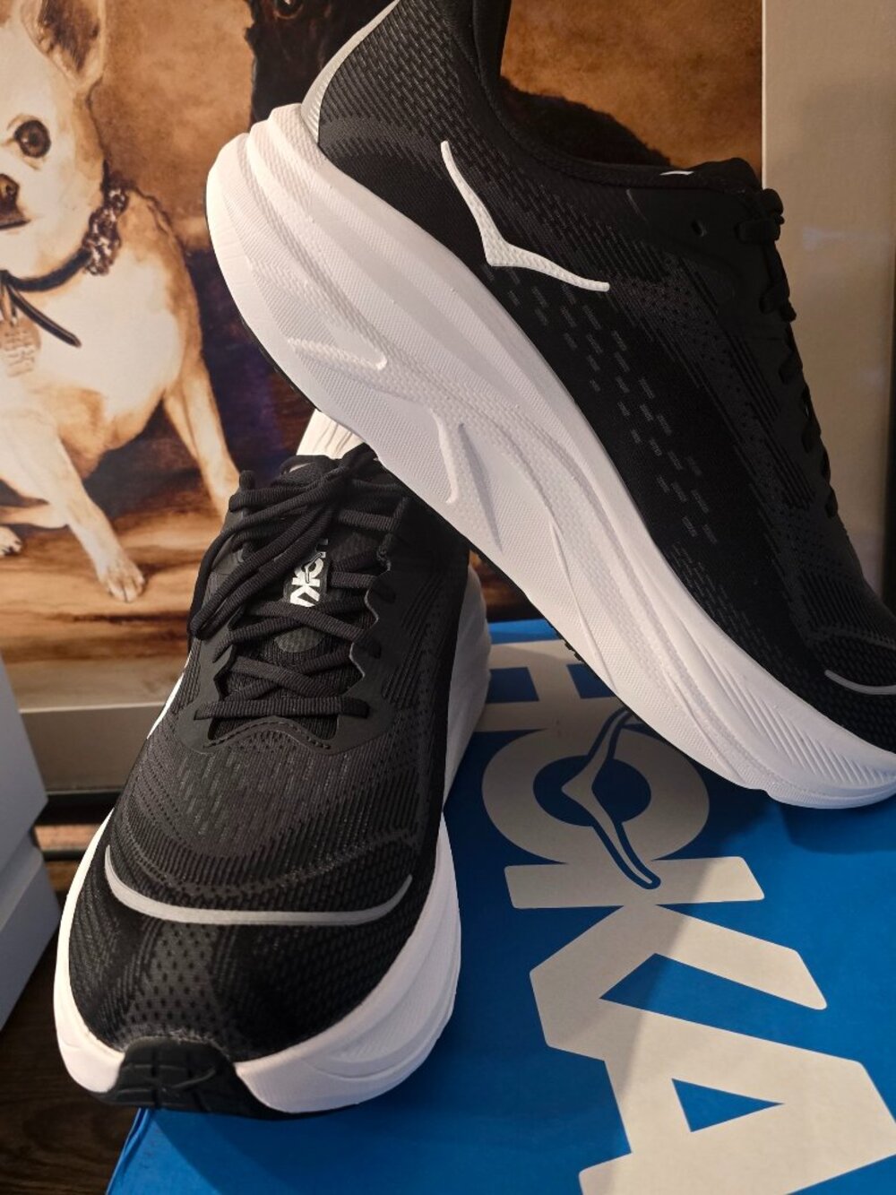 Hoka One One Skyflow Black / White 1155117-BWHT Men's Size 13 EE Wide New